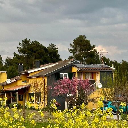 Casa Da Oliveira Daire Pegarinhos Dış mekan fotoğraf