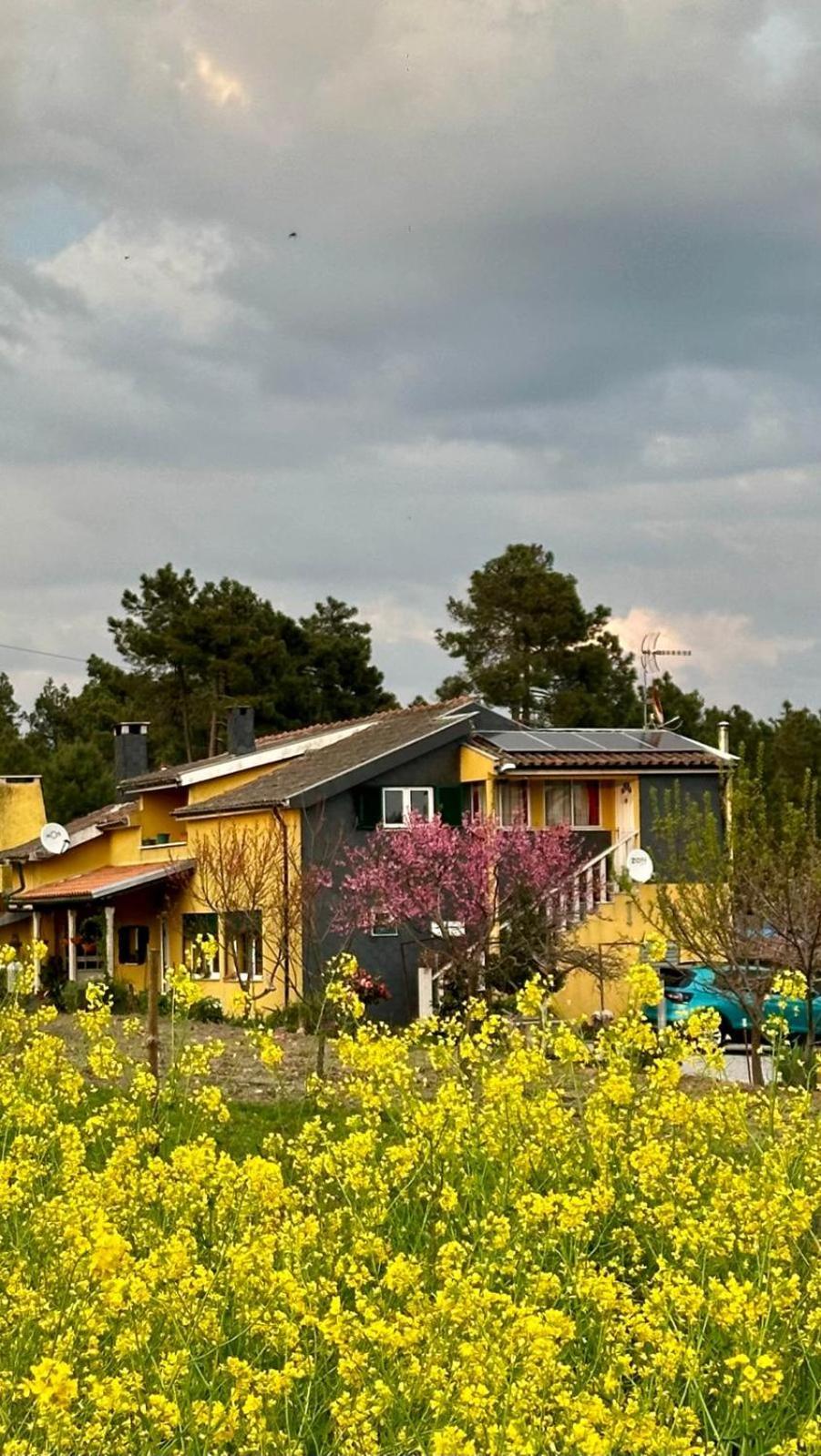 Casa Da Oliveira Daire Pegarinhos Dış mekan fotoğraf